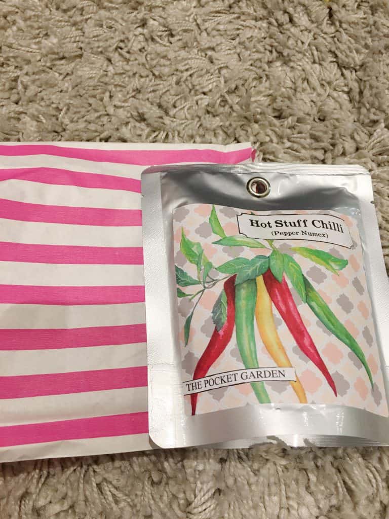 Bright Paper Packages- March 2016 Chilli Garden