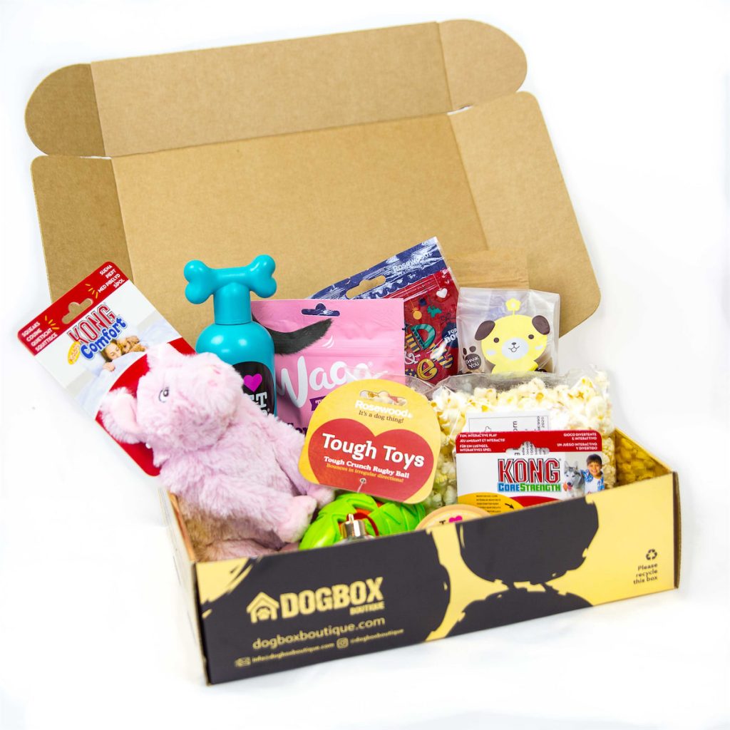 DogBox All Subscription Boxes UK
