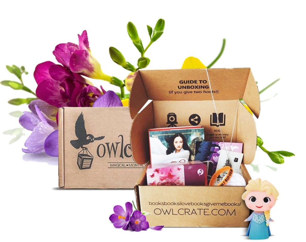 The Owlcrate box