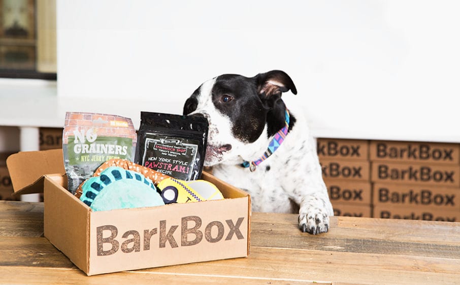 Barkbox (UK) Customized Box of themed toys and treats for your dog