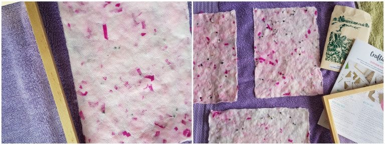 Papermaking with Seeds Craft Kit – Craftiosity